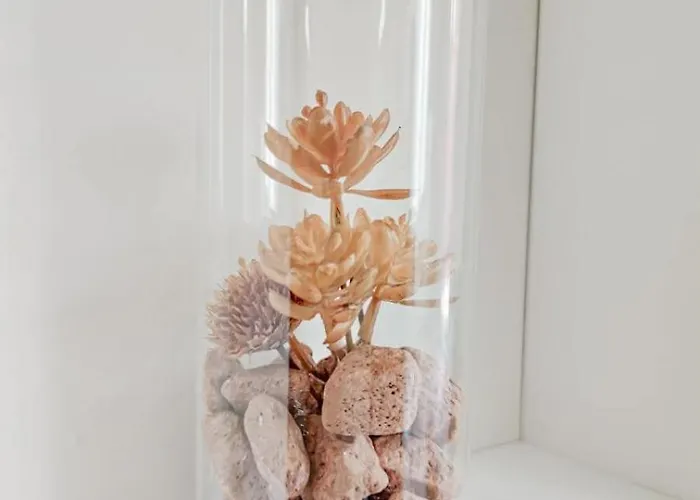 Fuoriporta Affitti Brevi - Petit Jardin Διαμέρισμα Πάρμα